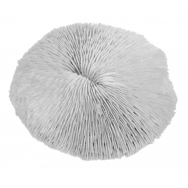 Coussin rond en fibres naturelles, texture douce et design organique pour décoration intérieure.