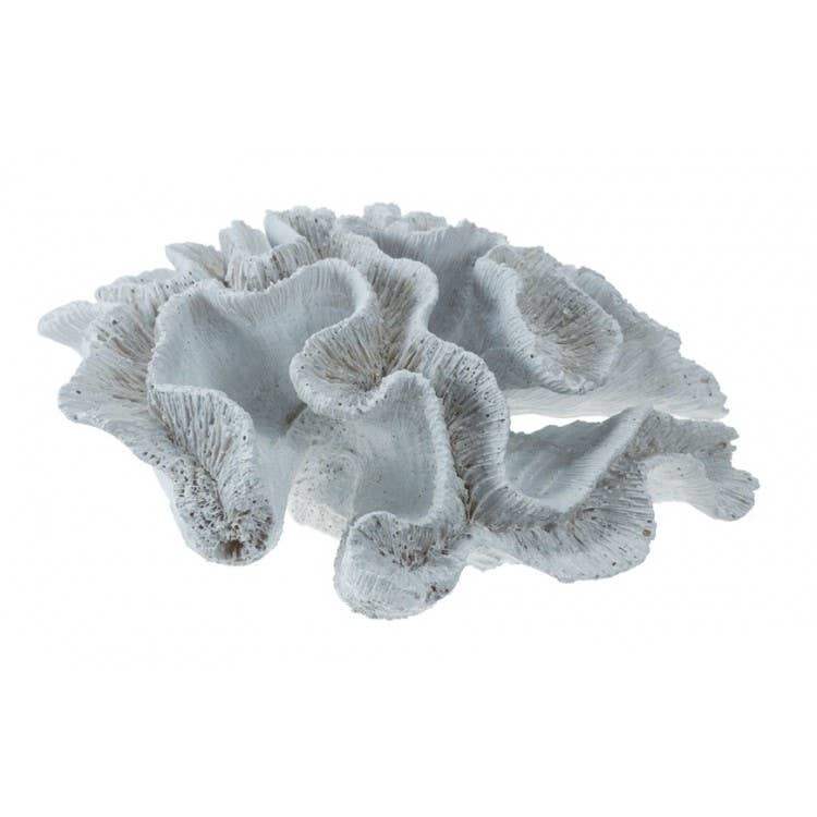 Objet décoratif en forme de corail blanc, idéal pour une décoration naturelle et chaleureuse.