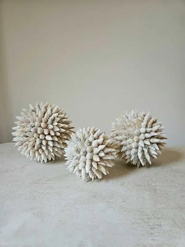 Boule déco en coquillages naturels beiges