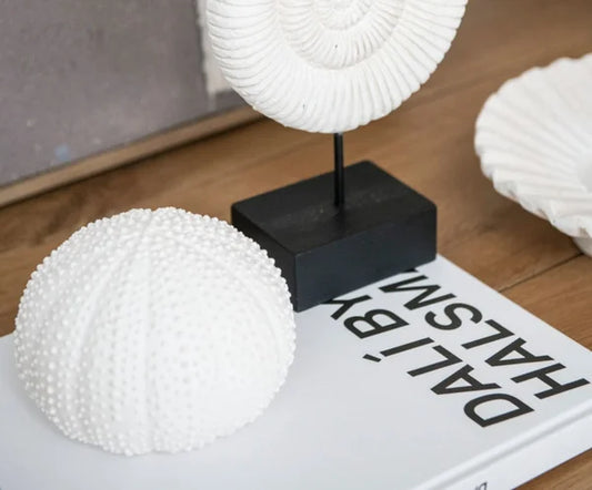 Oursin décoratif en céramique blanche