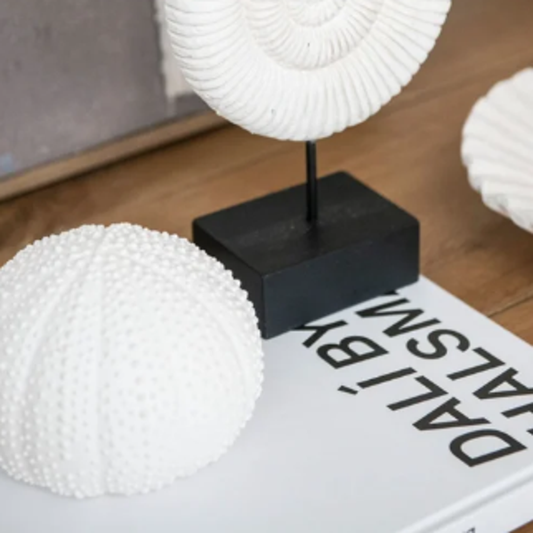 Oursin décoratif en céramique blanche