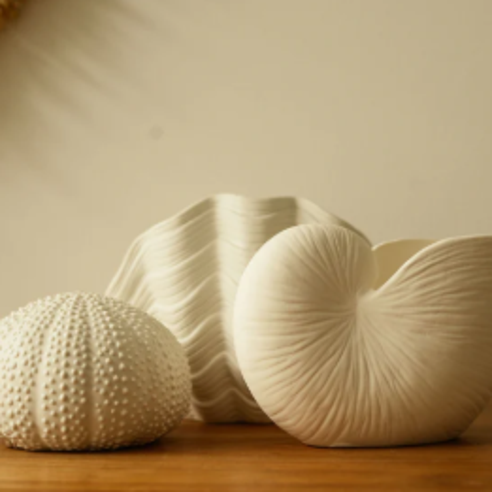 Oursin décoratif en céramique blanche