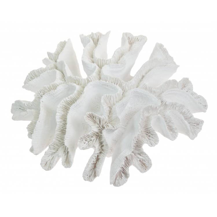 Corail Blanc Style Océan