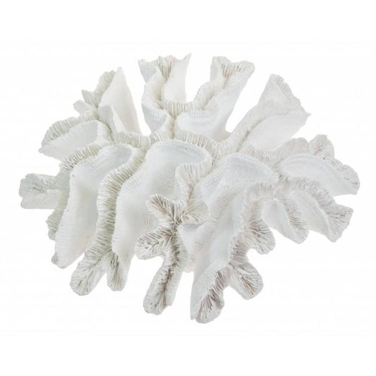 Corail Blanc Style Océan