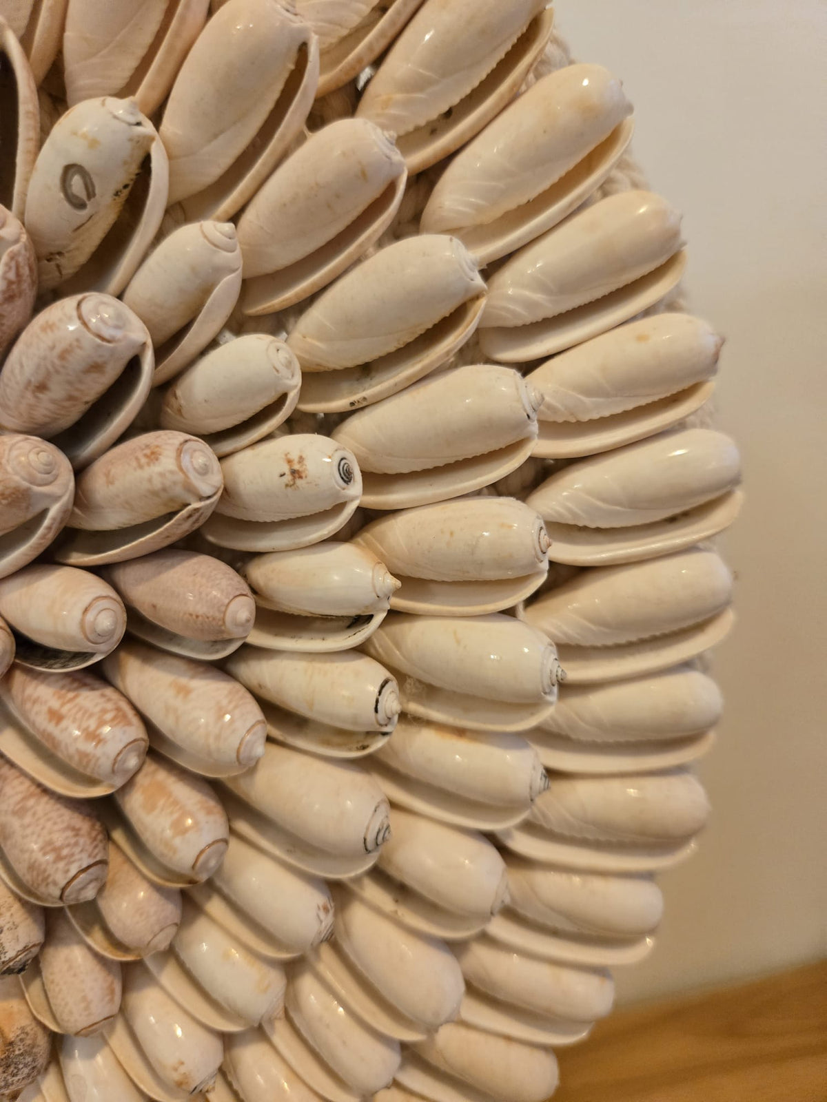 Couronne en coquillages beiges sur socle