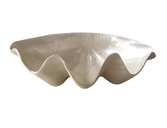 Bénitier décoratif en coquillage – 30 cm
