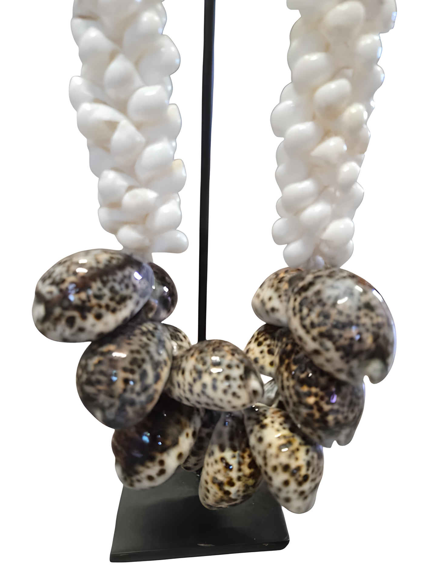 Collier décoratif en coquillages sur socle – Blanc et brun