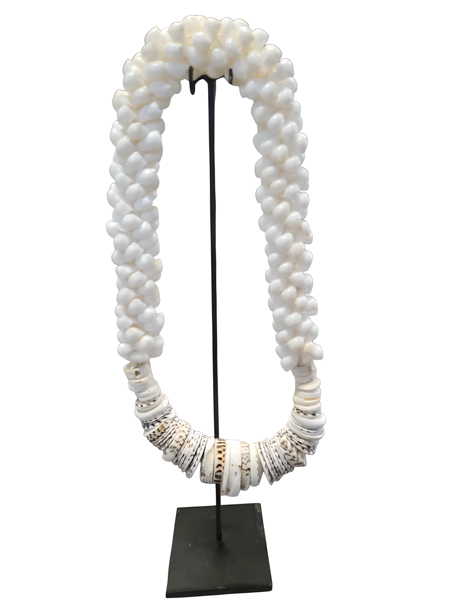 Collier décoratif en coquillages sur socle – Blanc naturel