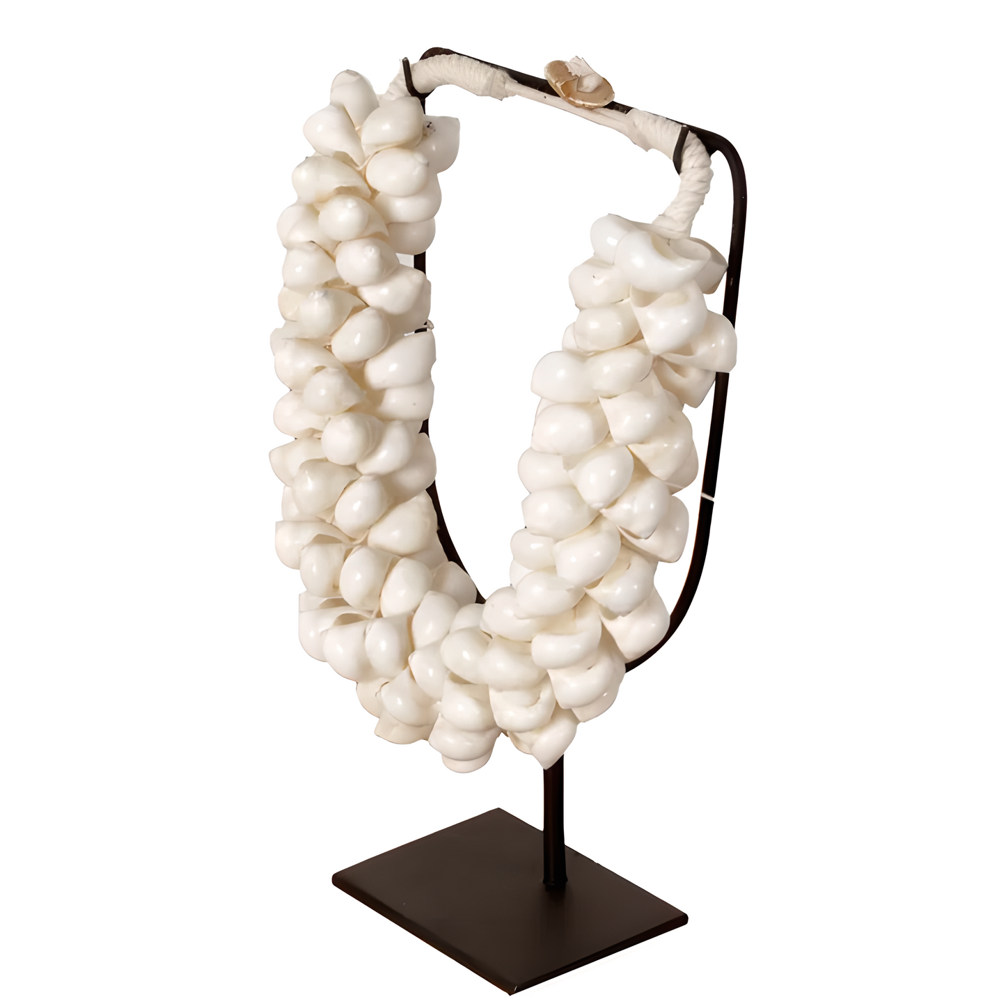 Collier décoratif en coquillages sur socle – Coquillages blancs