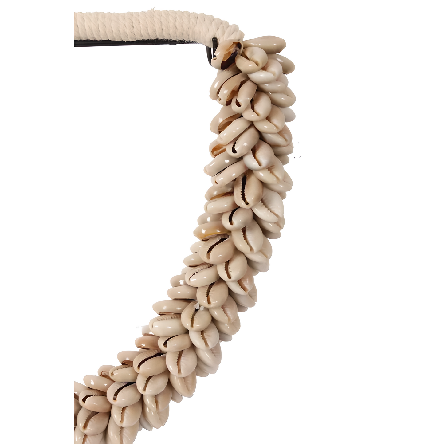 Collier décoratif en coquillages sur socle – Coquillages naturels