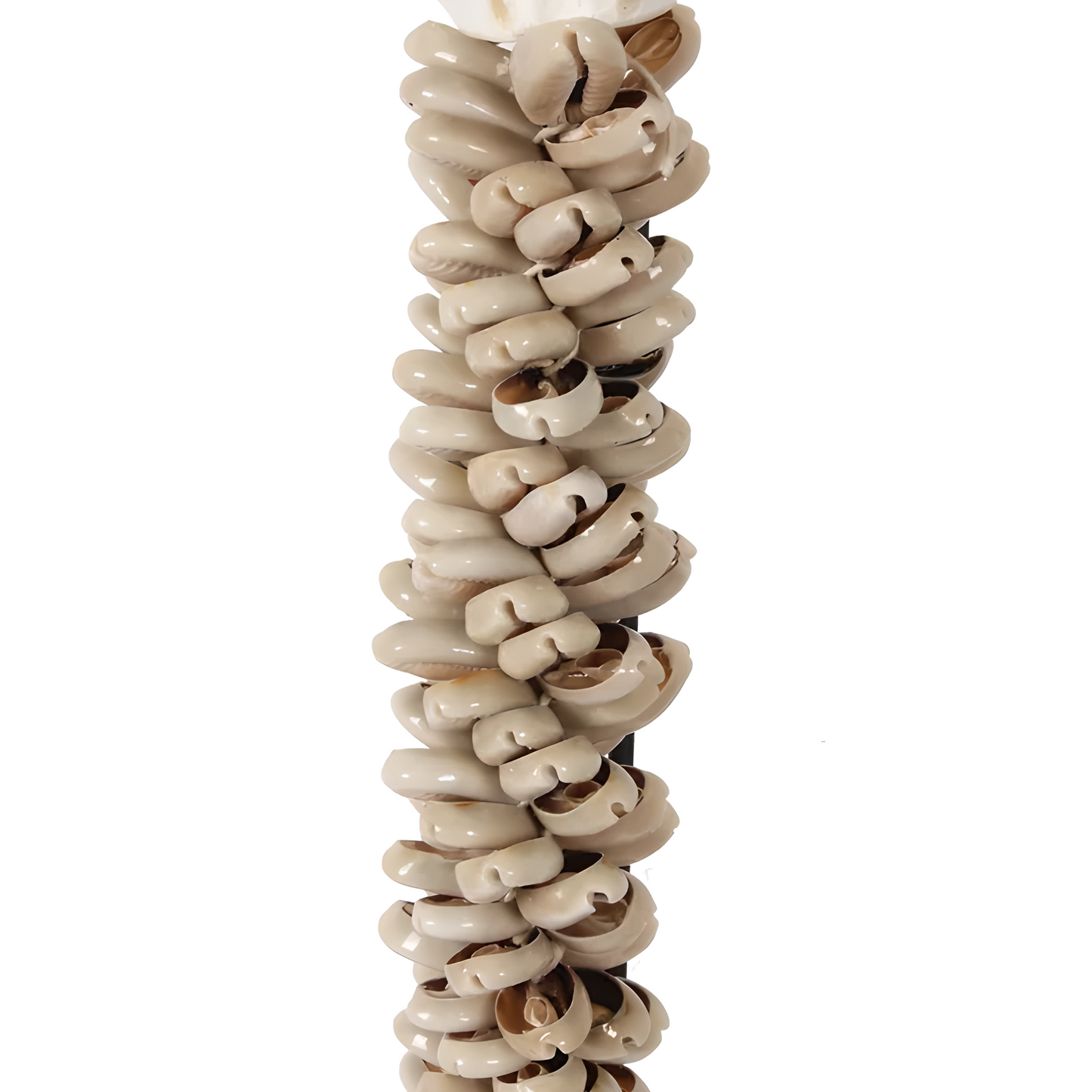 Collier décoratif en coquillages sur socle – Coquillages beiges