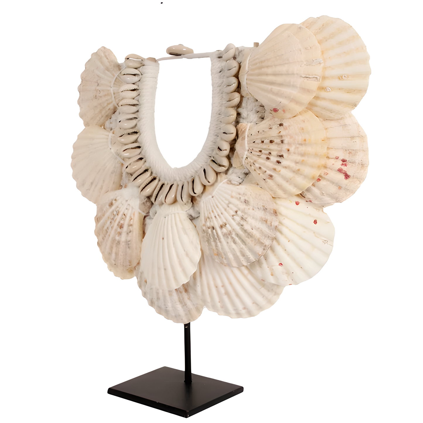 Collier décoratif en coquillages sur socle – Forme éventail