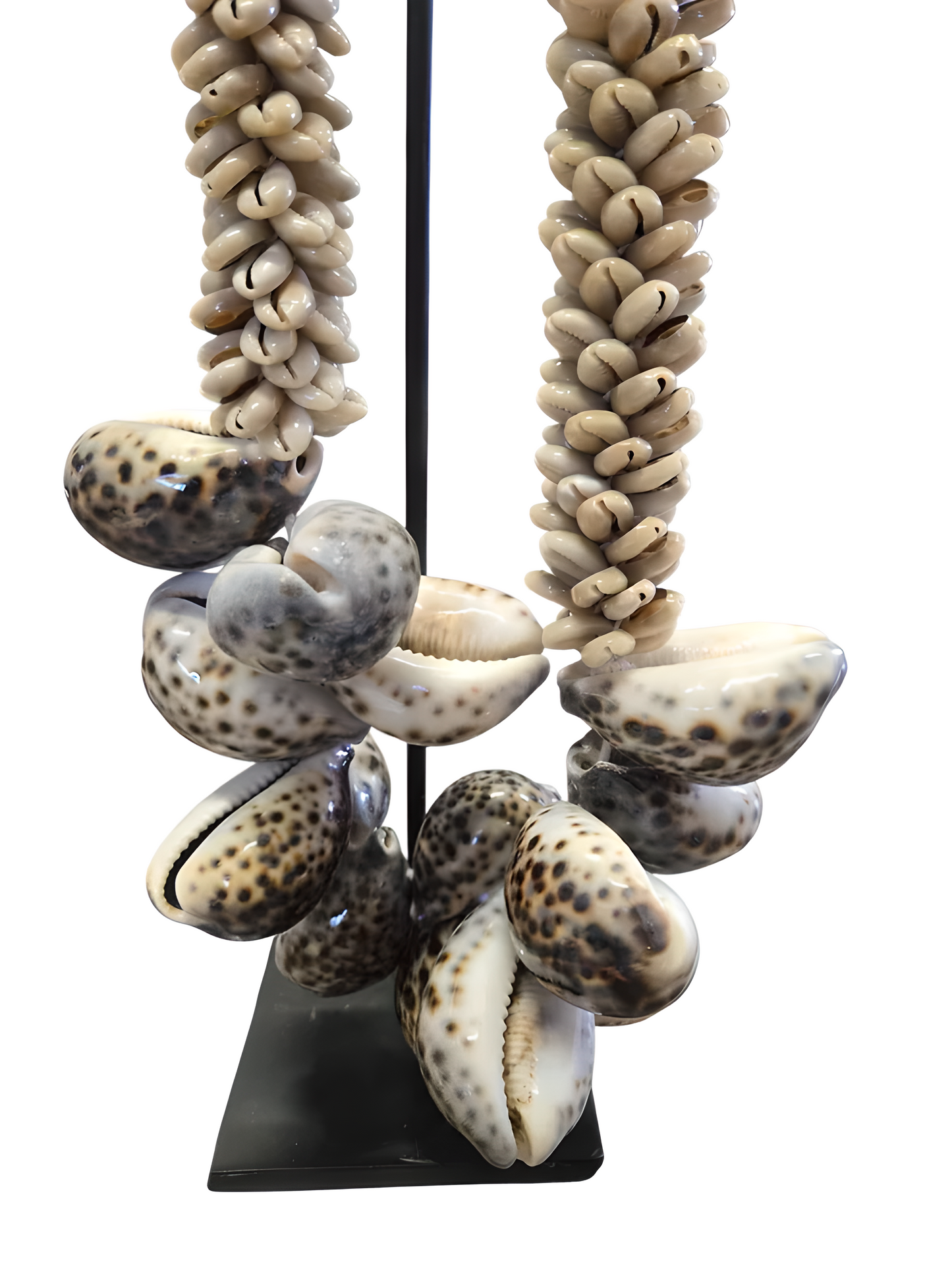 Collier décoratif en coquillages sur socle – Beige