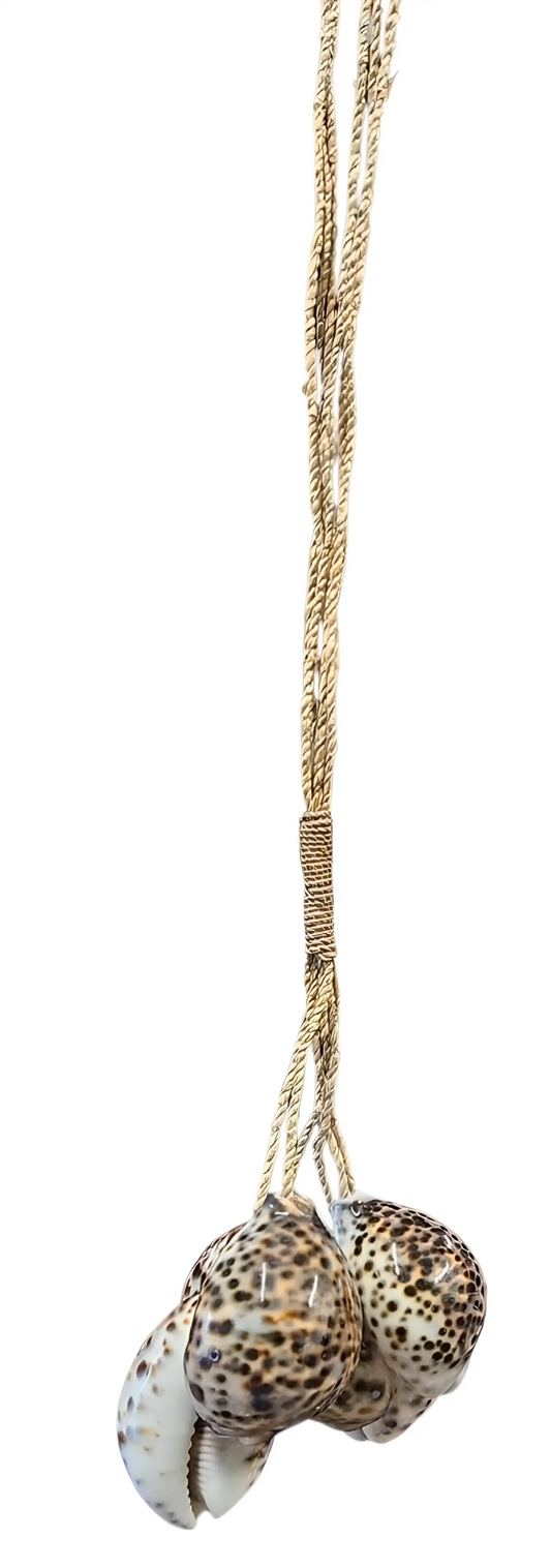Détail d'un collier bohème en coquillages naturels