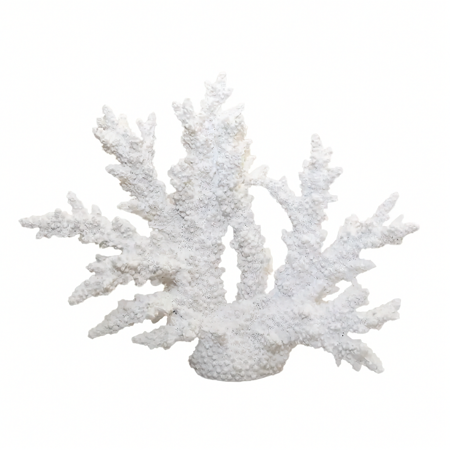 Corail décoratif blanc – déco bord de mer bohème