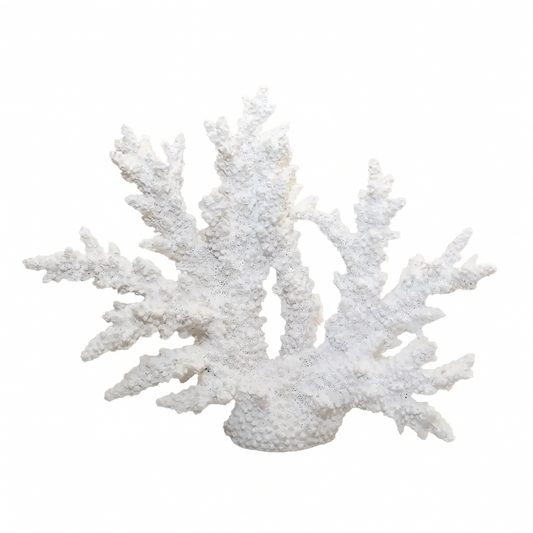 Corail décoratif blanc – déco bord de mer bohème