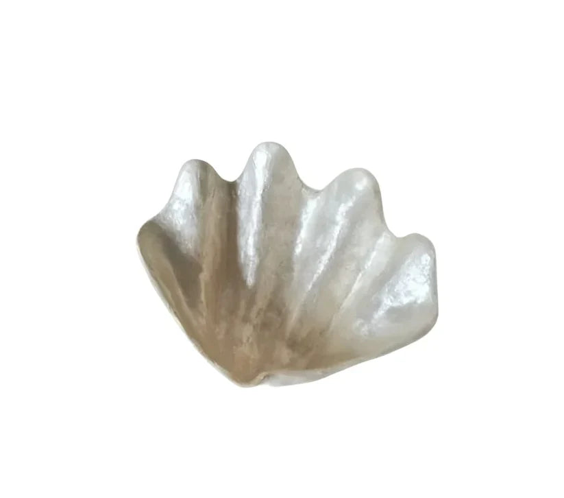 Bénitier décoratif en coquillage blanc 20 cm, objet de décoration bohème naturel
