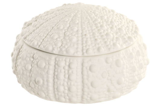 {{ product_title }} déco bohème naturelle