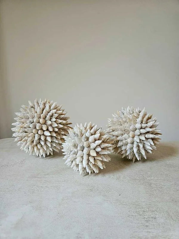 Boules décoratives en coquillages texturés