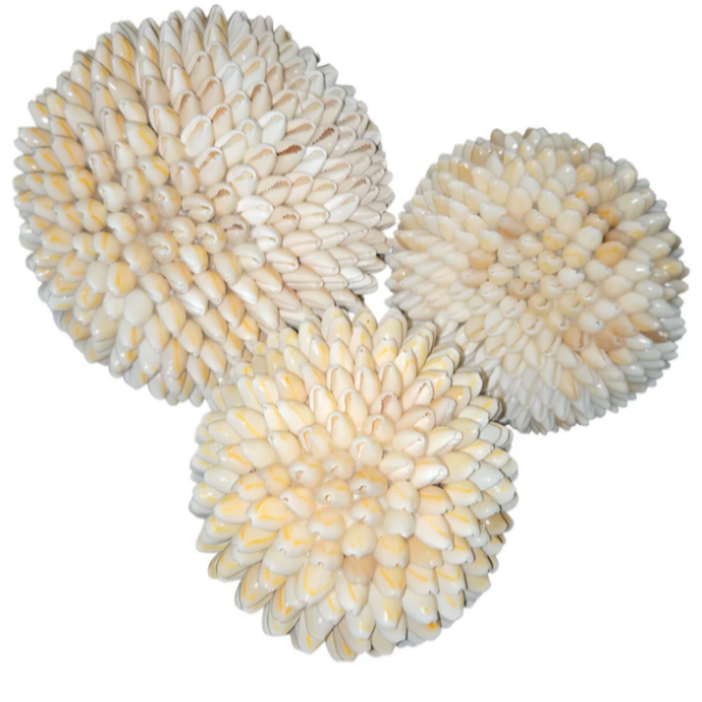 Boules décoratives en coquillages beiges naturels, décoration bohème artisanale