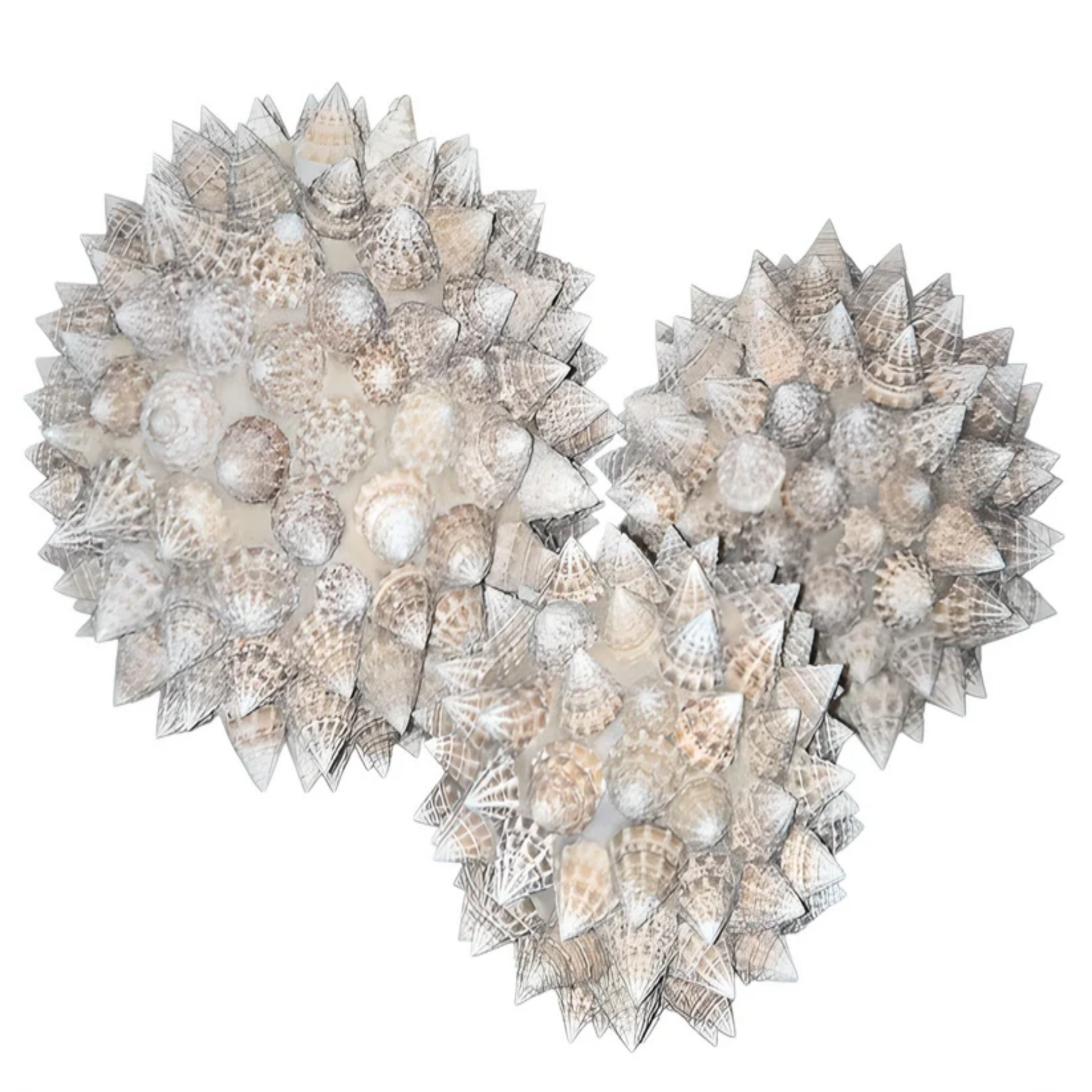 Boules décoratives en coquillages à relief naturel, objet déco bord de mer