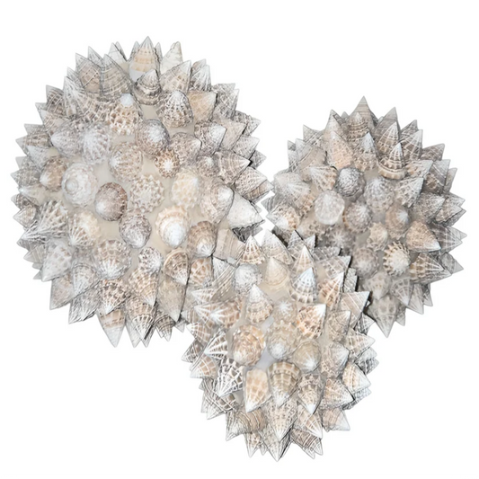 Boules décoratives en coquillages à relief naturel, objet déco bord de mer