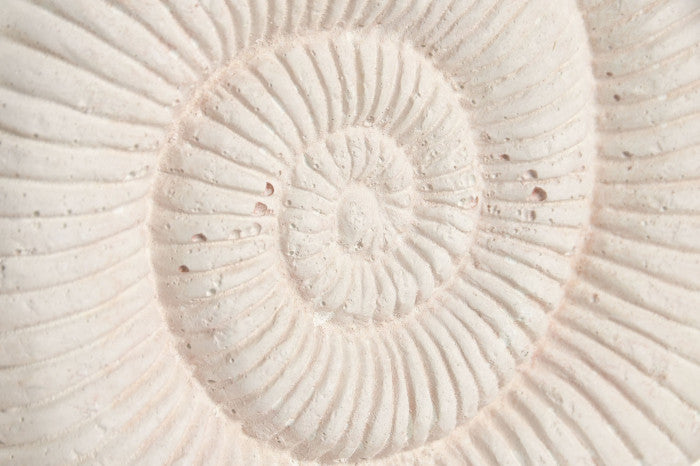 Décoration coquillage sur pied – Objet déco bord de mer bohème naturel - La Bohème