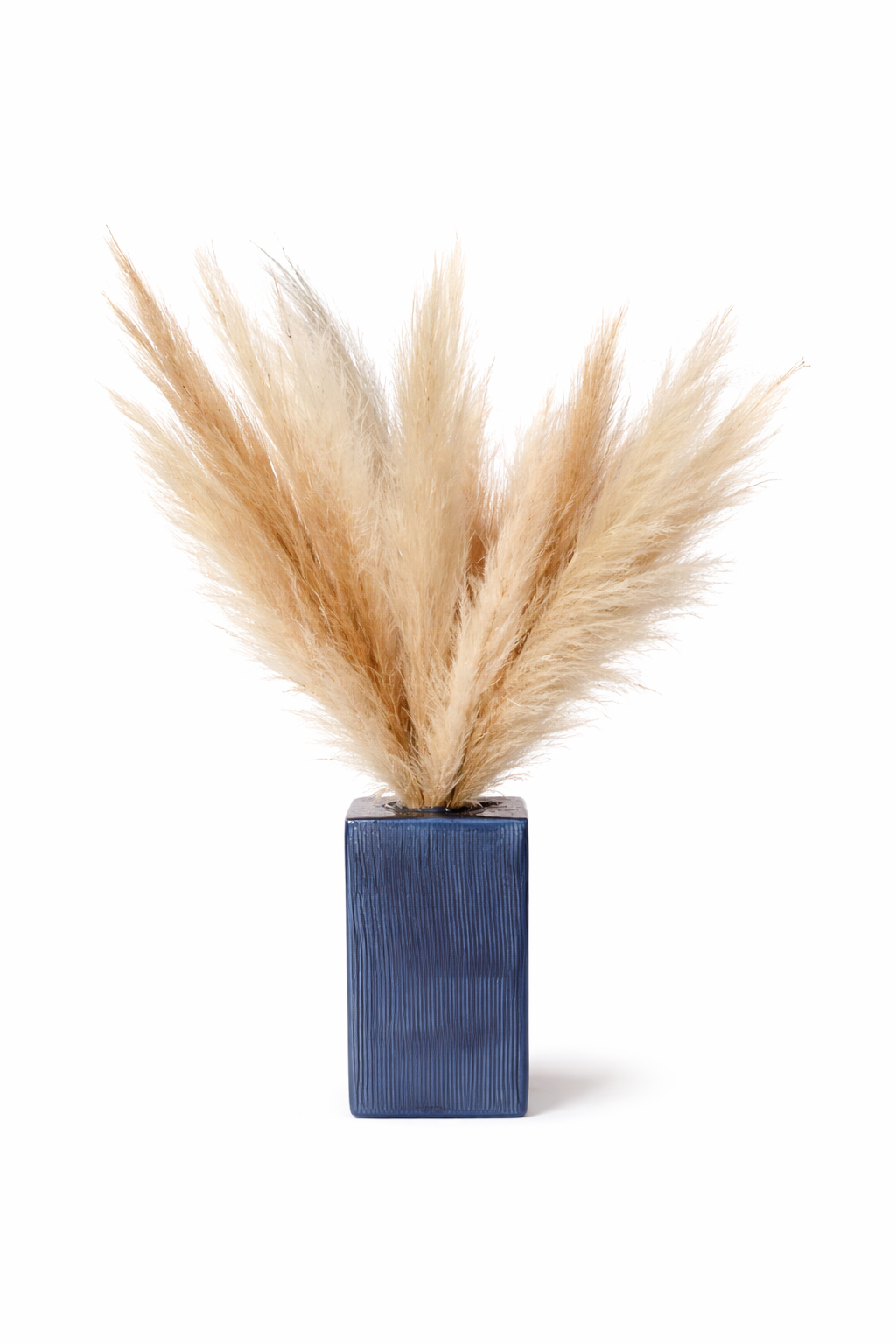 Pampa séchée naturelle